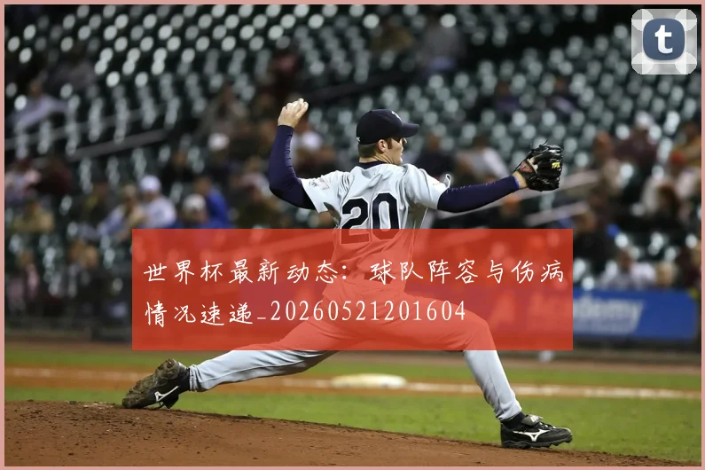 世界杯最新动态：球队阵容与伤病情况速递_20260521201604