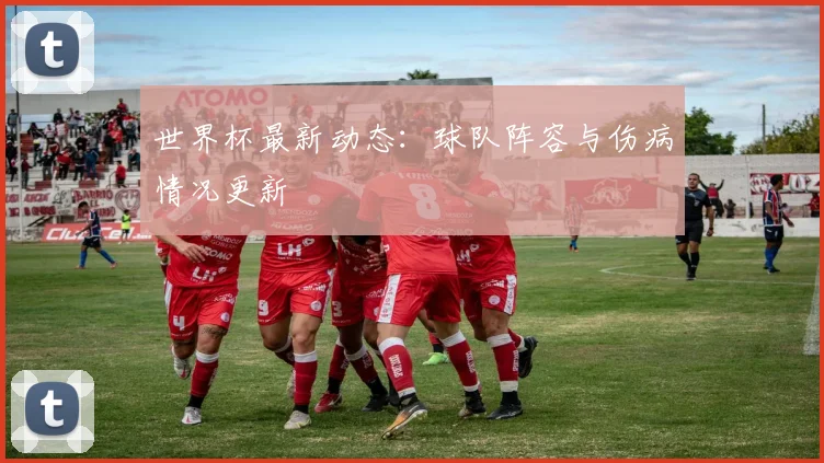世界杯最新动态：球队阵容与伤病情况更新