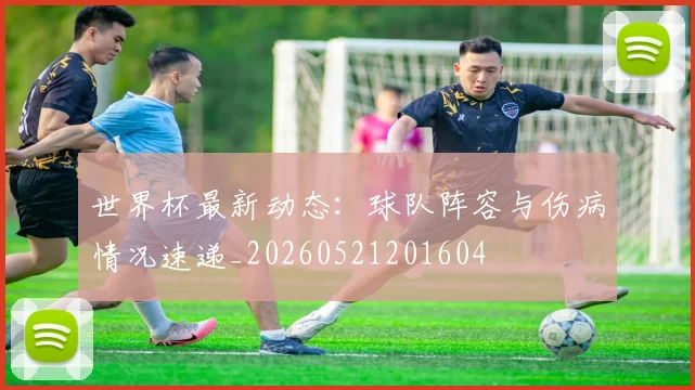 世界杯最新动态：球队阵容与伤病情况速递_20260521201604
