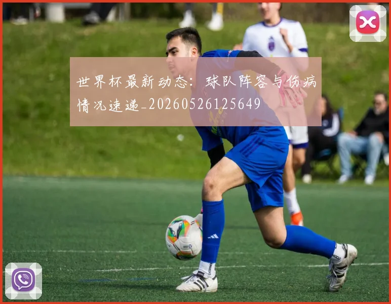 世界杯最新动态：球队阵容与伤病情况速递_20260526125649
